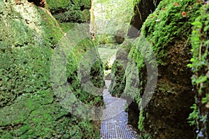 On the way to Drachenschlucht dragonÂ´s canyon in Eisenach, Thuringia, Germany