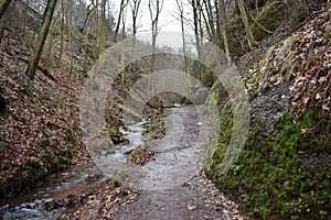 On the way to Drachenschlucht dragonÂ´s canyon in Eisenach, ThÃ¼ringen in Germany