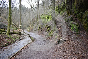 On the way to Drachenschlucht dragonÃÂ´s canyon in Eisenach, ThÃÂ¼ringen in Germany