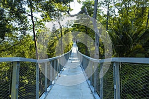 Way to forest walkway to green forest in Penang Malaysia