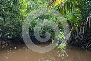 Way to Kayaking at Klong Sung Nae, Thailand's Little Amazon.