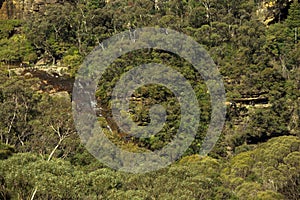 Way to National Pass near Wentworth Falls as viewed from Fletchers Lookout, near Katoomba, Blue Mountain, Sydney