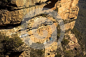 Way to National Pass near Wentworth Falls as viewed from Fletchers Lookout, near Katoomba, Blue Mountain, Sydney