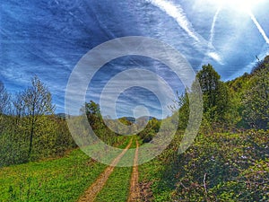 The way to nature. Background. Landskape. Forest. Mountain.