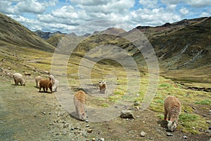 Way to Palccoyo rainbow mountains, Cusco/Peru