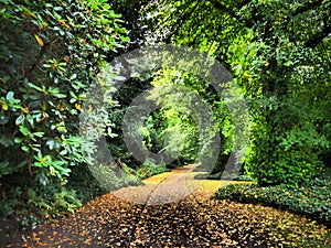 the way to paradise-Biddulph Grange Stately Home & Gardens, Staffordshire, England