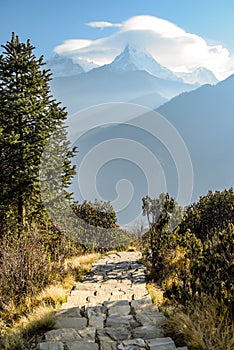 The way to Poon Hill photo