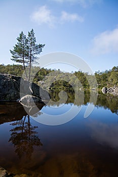 Way to the Preikestolen, Rogaland, Norway