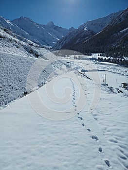 Way to river named Baspa in chitkul covered with snow