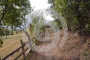 The way to school in the village