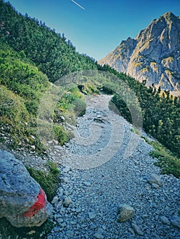 The way to the top of Alps