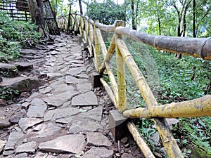 Way to Vazhachal Falls, Thrissur, Kerala