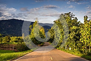 The way to the village with nature along the way.