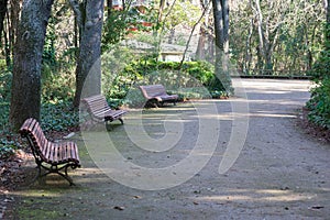 Way to walk in the city park