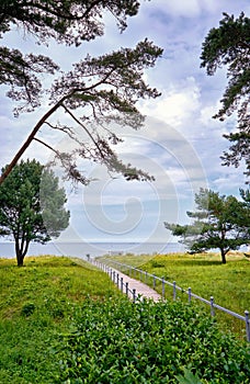 Way to the wedding place on the Baltic Sea beach in Binz. Registry office on the island of RÃ¼gen.