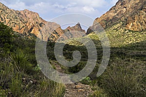 The way - of the trail in Big Bend, Texas