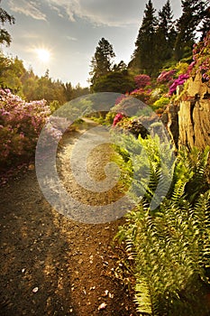 Way in the well-tended garden