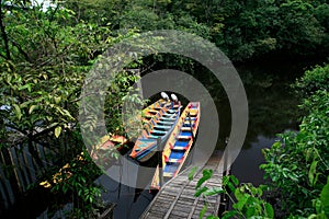 Wayki village : pirogue excursion, Dacca, Gabriel's Cove, Roura, French Guiana photo