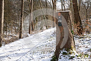 Waymark of Bergischer Weg close to Odenthal, Germany