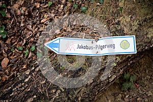 Waymarking on the Camino de Santiago, long