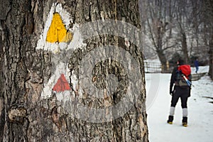 Waymarks painted on a tree in Romania.