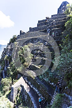 Waynapicchu at Machu Picchu, Peruvian Historical Sanctuary an