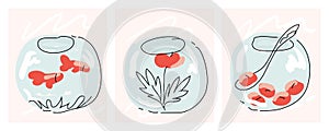 Ways to reuse round glass bowl. Modern vector illustration showing how to use empty jar as flower vase, cookie, aquarium