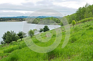 Wazee Lake Scenic Overlook