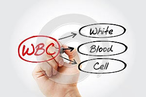 WBC - White Blood Cell acronym