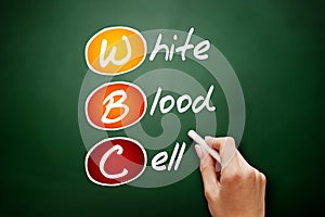 WBC - White Blood Cell acronym, concept on blackboard