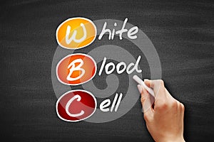 WBC - White Blood Cell acronym, concept on blackboard