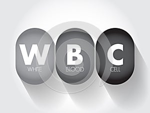 WBC White Blood Cell - cellular component of blood that helps defend the body against infection, acronym text concept background