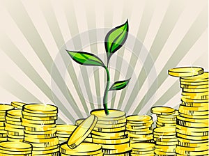 Wealth growing concept, money tree with coins stacks, vector illustration