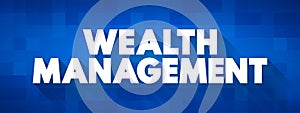 Wealth Management - process of making decisions about your assets with a wealth manager, text concept background