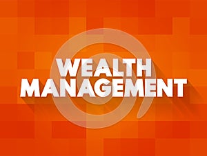 Wealth Management - process of making decisions about your assets with a wealth manager, text concept background