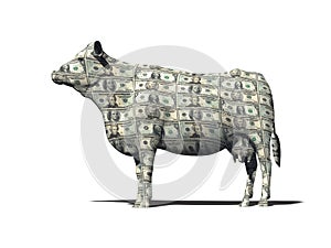 WEALTH MONEY SAVING RETIREMENT CASH COW FINANCIAL PLANNING MANAGEMENT INVESTMENT FUND CAPITAL GROWTH STOCK
