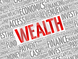 WEALTH word cloud