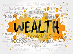 WEALTH word cloud