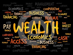 WEALTH word cloud