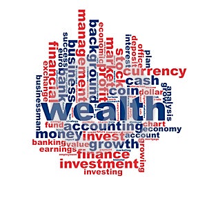 Wealth word cloud