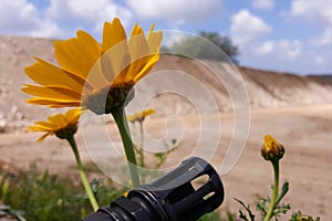 Weapon against colorful flowers, choosing between peace or war. Concept: stop conflict, feel the world beauty