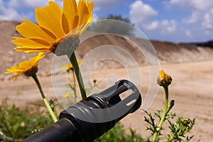 Weapon against colorful flowers, choosing between peace or war. Concept: stop conflict, feel the world beauty