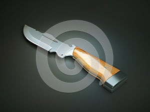 Weapon: hunting knife with large blade