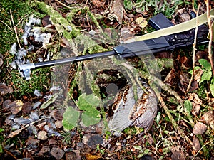 weapons on moss-covered branches, under the branches shot grouse, selective focus photo