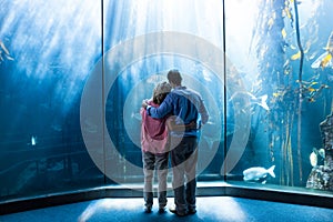 Wear view of couple looking at fish in the tank