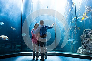 Wear view of couple looking at fish in the tank