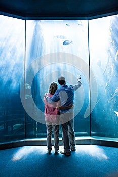 Wear view of couple looking at fish in the tank