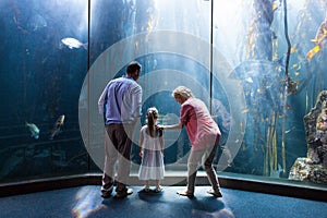 Wear view of family looking at fish tank