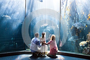 Wear view of family looking at fish tank