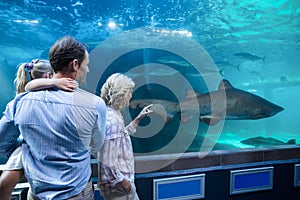 Wear view of family looking at shark in a tank